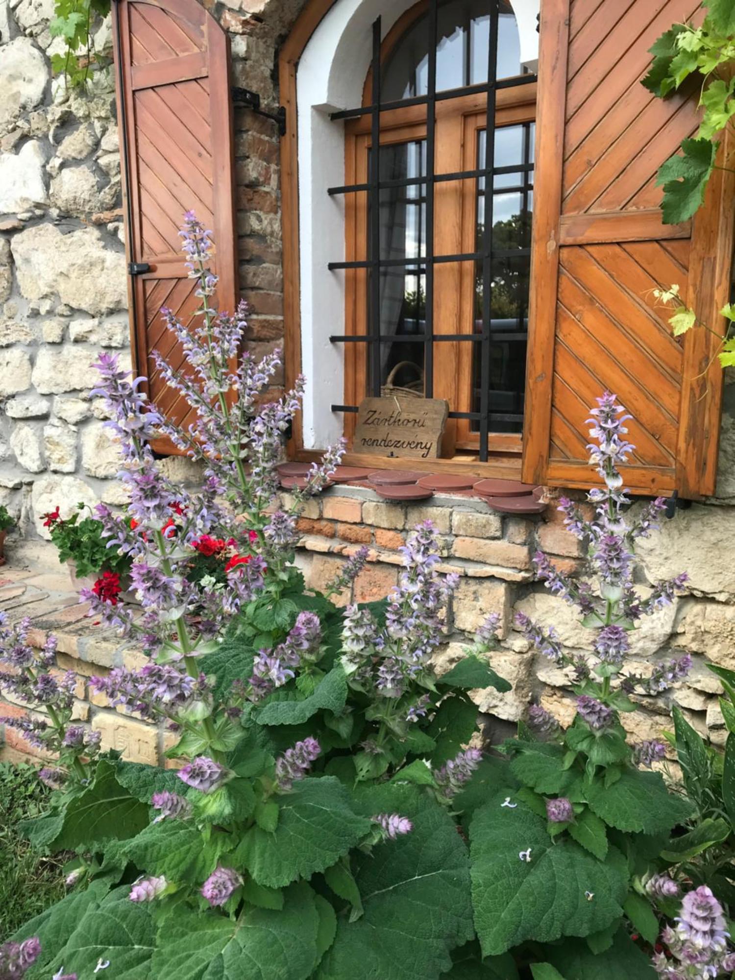 Cifrapince Es Vendeghaz Βίλα Tordas Εξωτερικό φωτογραφία